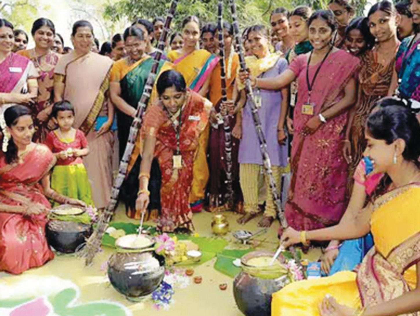 पोंगल: एक कृषि उत्सव